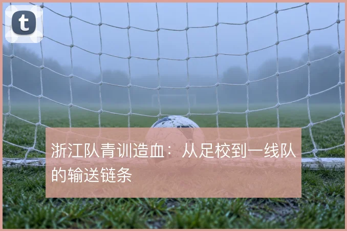 浙江队青训造血：从足校到一线队的输送链条