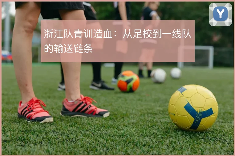 浙江队青训造血：从足校到一线队的输送链条