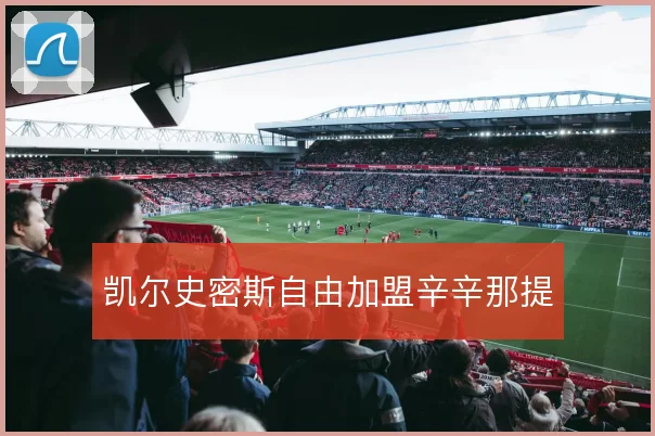 凯尔史密斯自由加盟辛辛那提